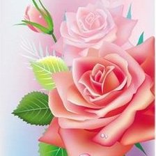 Схема вышивки «розы»