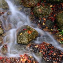 Схема вышивки «Природа Японии»