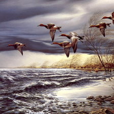 Схема вышивки «полет птиц»