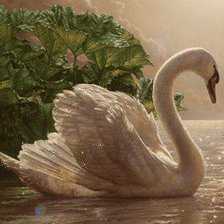 Схема вышивки «№442019»