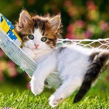 Схема вышивки «кот»