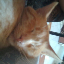 Схема вышивки «Антоша»