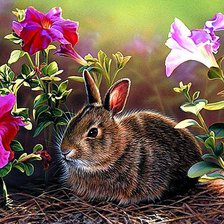 Схема вышивки «Кролик»