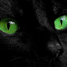 Зеленоглазка