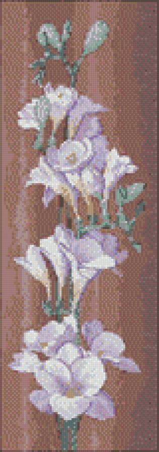 фрезия - цветы - предпросмотр