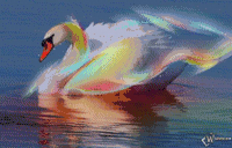 Радужный лебедь - лебеди, птицы - предпросмотр