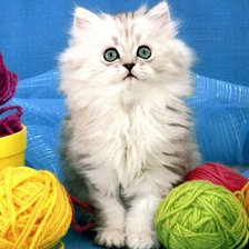 Схема вышивки «Котенок»