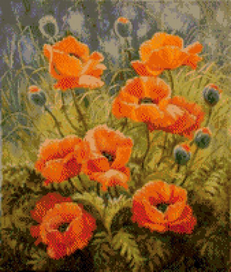 №442483 - маки - предпросмотр