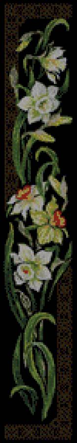 нарциссы на черном - цветы - предпросмотр