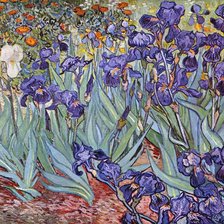 Схема вышивки «Ирисы»