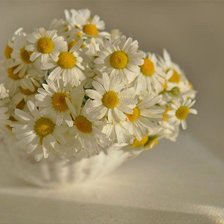 Схема вышивки «№442837»