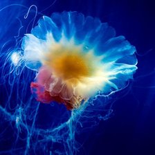 Схема вышивки «№442879»