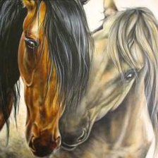 Схема вышивки «Лошади»