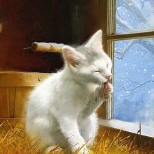 Теплый уголок