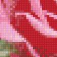 Предпросмотр схемы вышивки «Розы» (№442987)