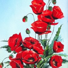 Схема вышивки «Маки»