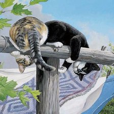 Схема вышивки «ты тоже это видишь?»