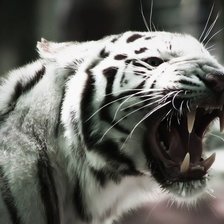 Схема вышивки «№443398»