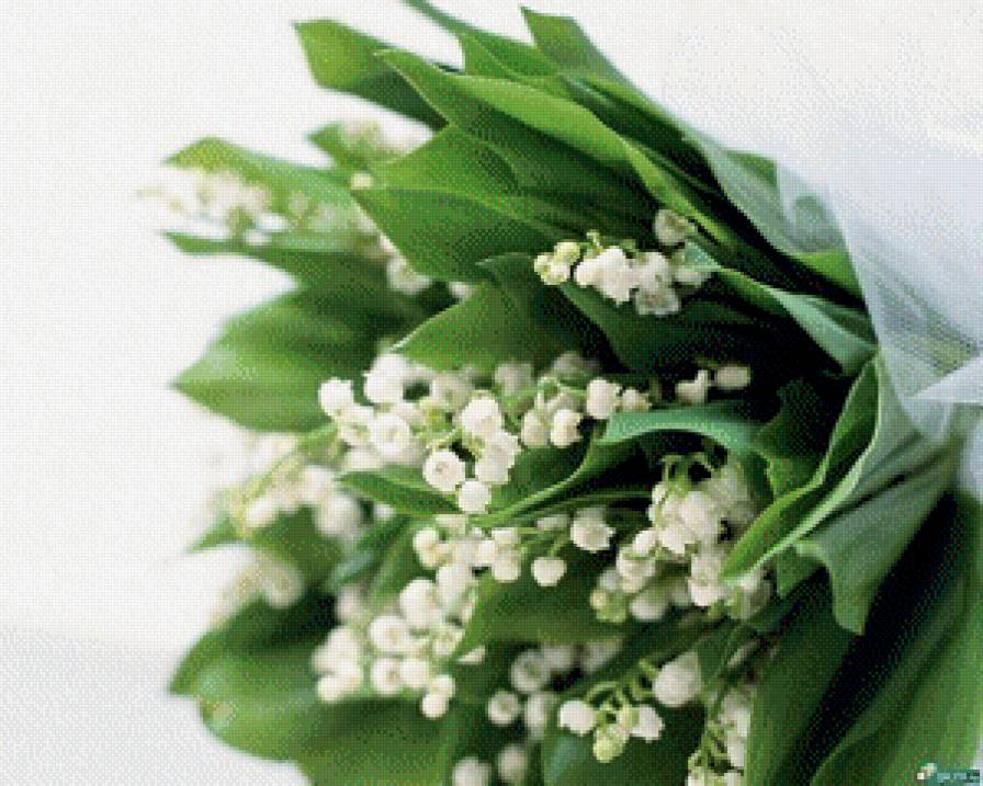 ландыши - природа, ландыши, цветы, букет - предпросмотр