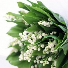 Схема вышивки «ландыши»