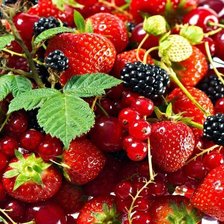 Схема вышивки «ягоды»