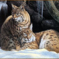 Схема вышивки «животные планеты»