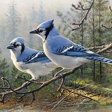 Схема вышивки «№443578»