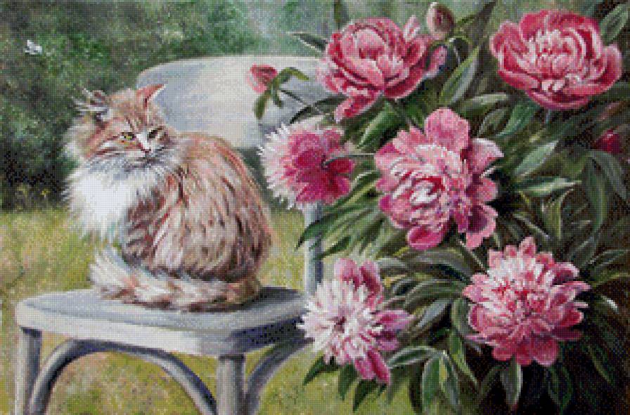 ароматы лета - кот, пионы, цветы - предпросмотр
