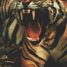 Схема вышивки «№443668»