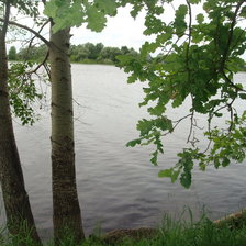 Схема вышивки «Илеть»