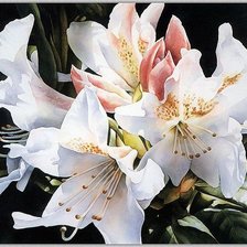 Схема вышивки «Цветы»