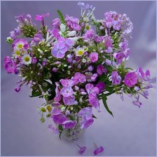 Схема вышивки «Цветы»