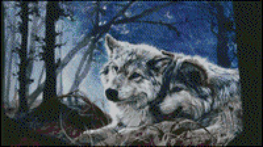 волки - животные, хищники - предпросмотр