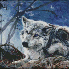 Схема вышивки «волки»