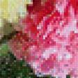 Предпросмотр схемы вышивки «Серия "Цветы под дождем"» (№443983)