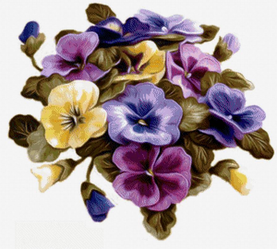 анютины глазки - цветы, фиалки - предпросмотр