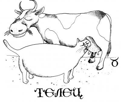 ТЕЛЕЦ - знаки зодиака, телец, прикол, котик - оригинал
