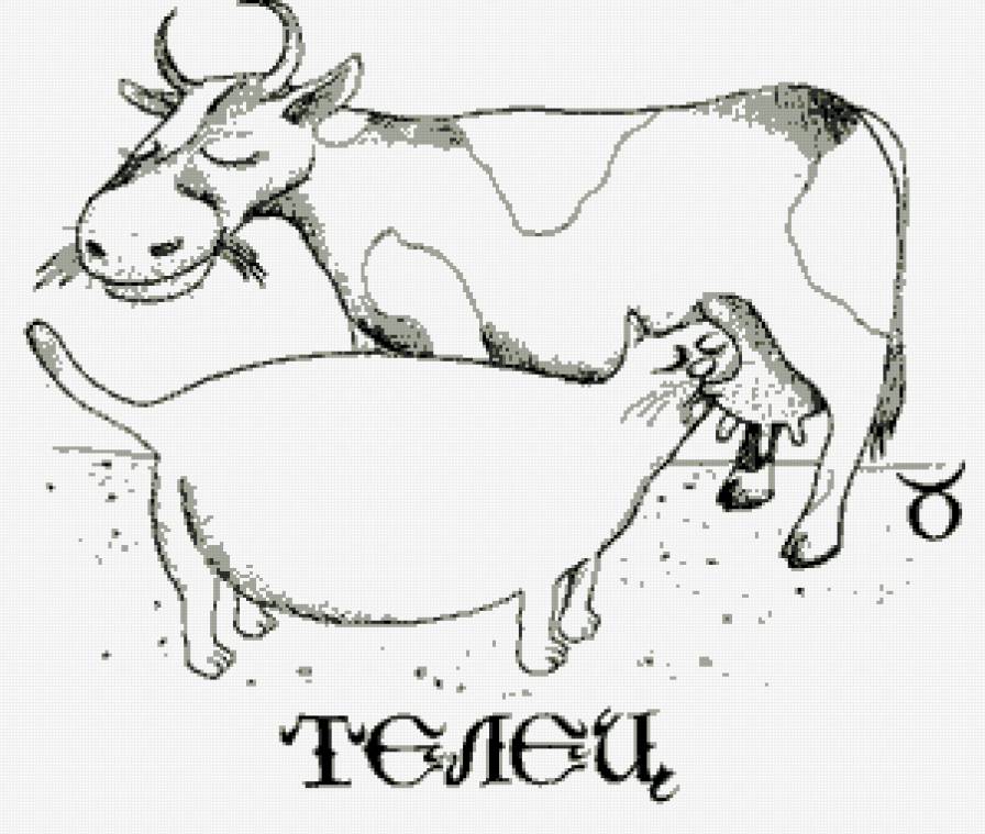 ТЕЛЕЦ - прикол, телец, знаки зодиака, котик - предпросмотр