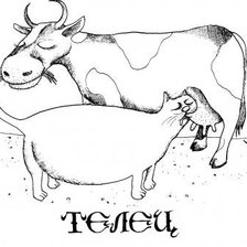 Схема вышивки «ТЕЛЕЦ»