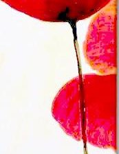 Схема вышивки «Маки триптих (часть 1)»