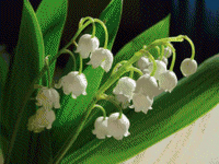 ландыши - цветы - предпросмотр