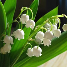 Схема вышивки «ландыши»