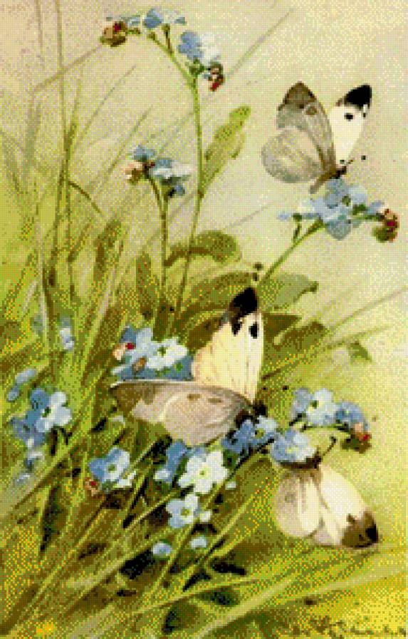 Незабудки и бабочки - цветы, незабудки, бабочки - предпросмотр