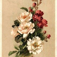 Схема вышивки «Белое и красное»