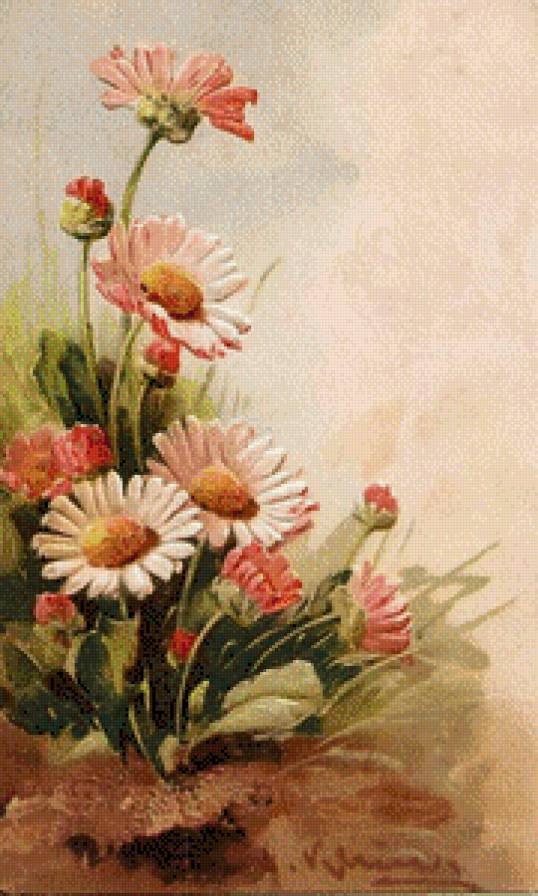 Маргаритки - маргаритки, цветы - предпросмотр