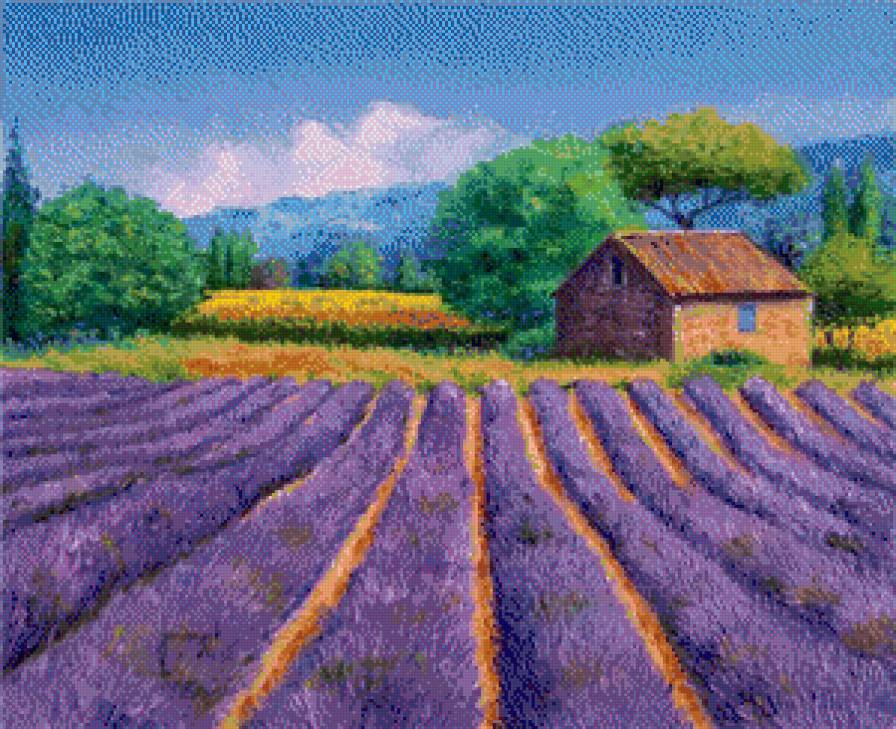 Фото автора Александр на Яндекс.Фотках - цветы, лавандовое поле, пейзаж - предпросмотр