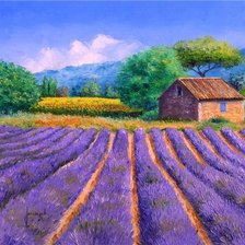 Фото автора Александр на Яндекс.Фотках