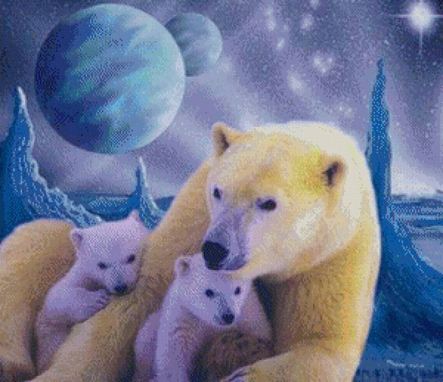Белые мишки - белый, медведь, полярный, мишка, мишки - предпросмотр