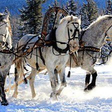 Схема вышивки «серия: зима»