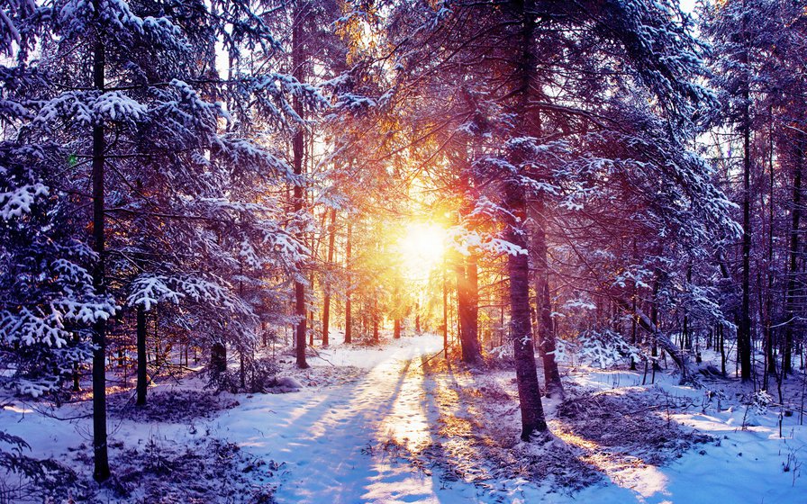 серия: зима - картина, пейзаж, зима - оригинал